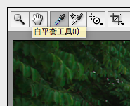 白平衡